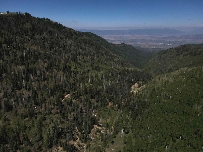 8 photo sanpete 240