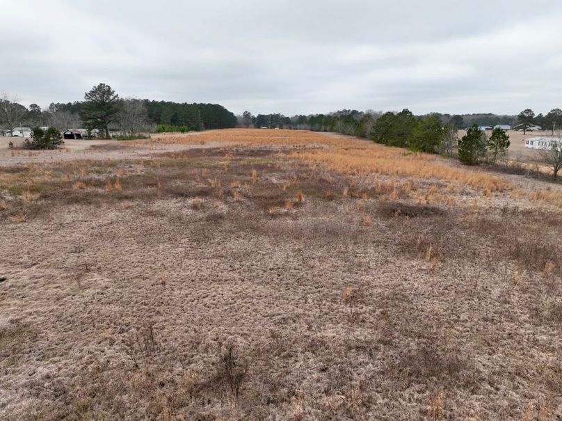 dji_fly_20260210_114406_272_1770741942636_photo