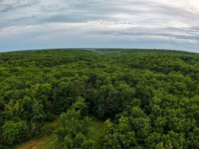 DJI_20250630063922_0256_D