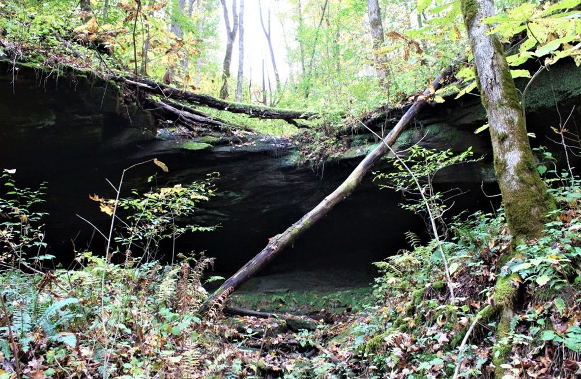 003 big rock shelter in the back of a secondary valley