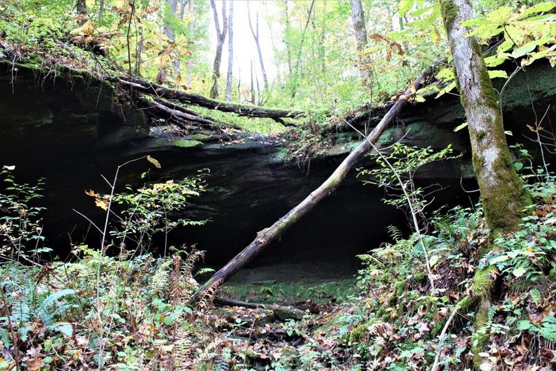 003 big rock shelter in the back of a secondary valley