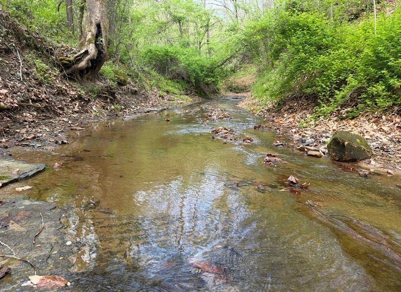 022 Life As It Enters the Property, Splitting It In the Middle