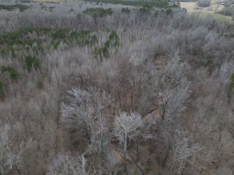 DJI_0031