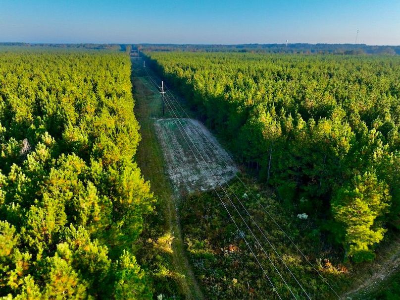 9FBAA537-0ECB-41CE-B209-4E0E598115AE_1_201_a