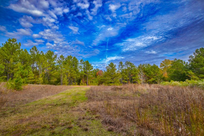 Hunting And Recreation Hideaway In East Texas Whitetail Properties