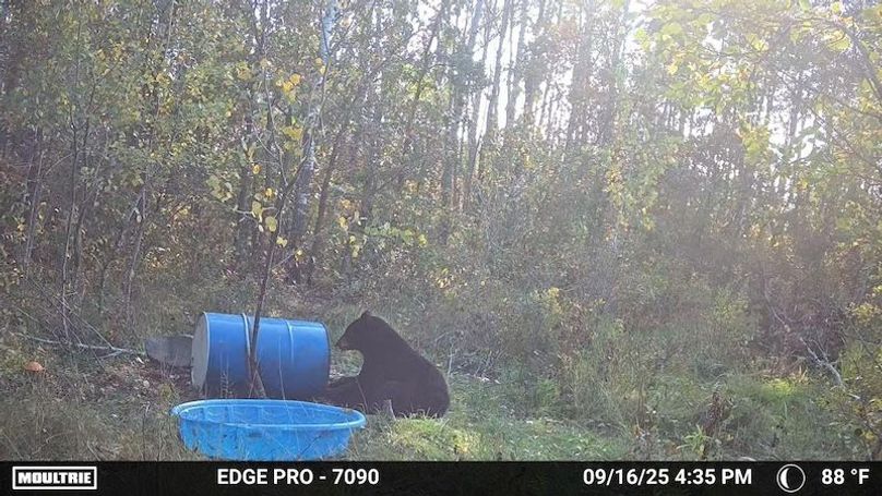 image639020099298796250