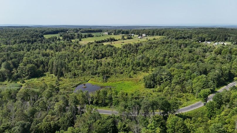 DJI_20250730103843_0303_D