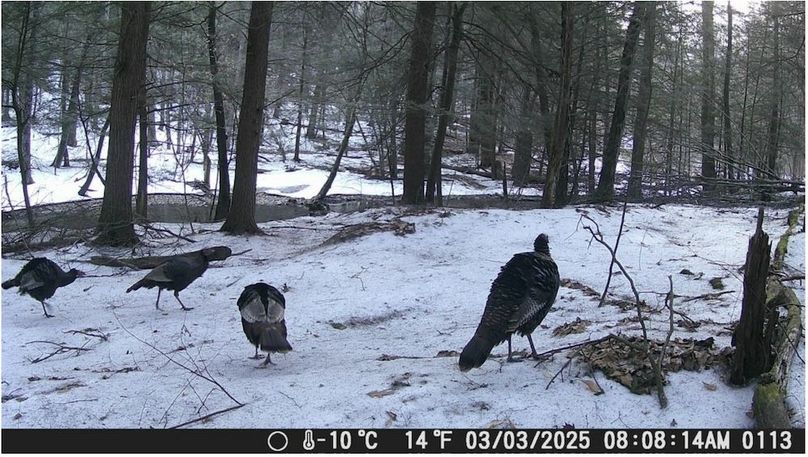 Screenshot 2026-02-25 213737