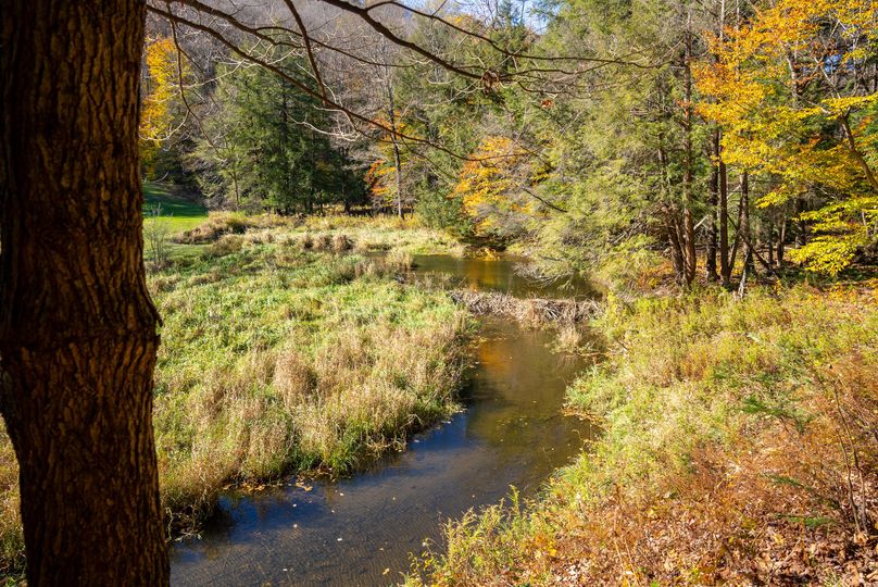 Elk PA 7000 Feature_Pro Photo-116
