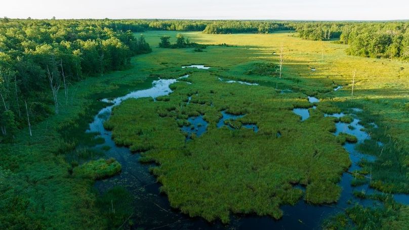 Cass MN 1095 Featured ProPhoto-71