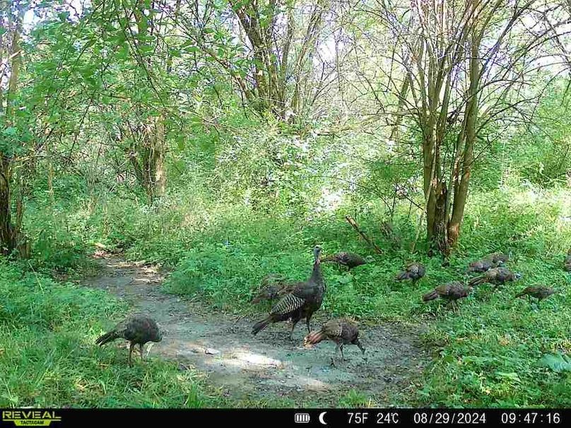 860322062166886-100-2-08292024094716-V-W1003204