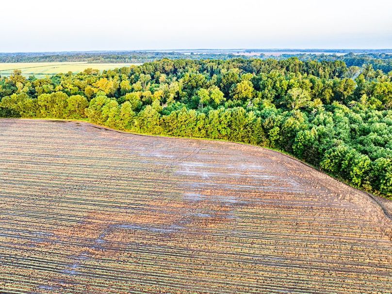 Copy of Noxubee 70 +- Tract 3-23