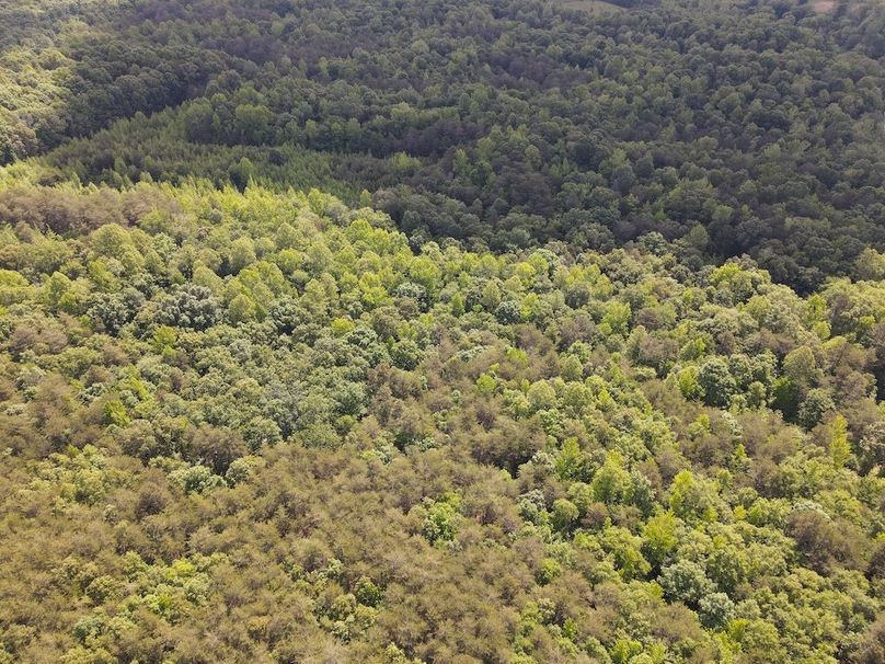 DJI_0476