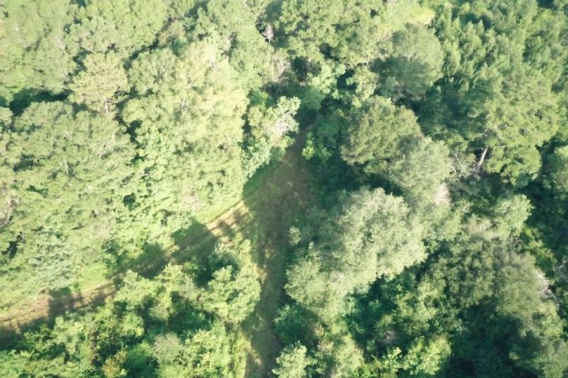 DJI_0639