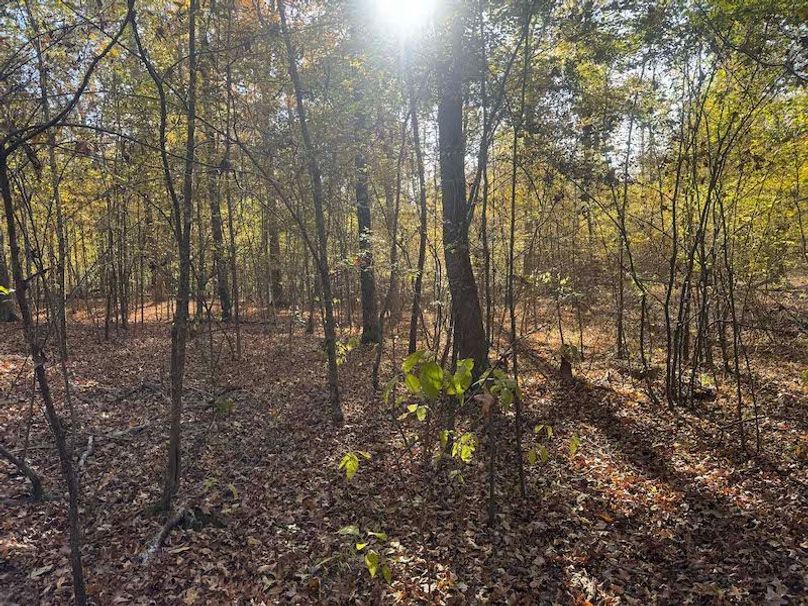 Jeff 11720251111_0212