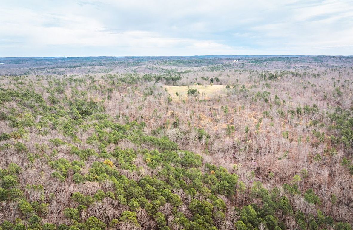 DJI_20250403115959_0552_D