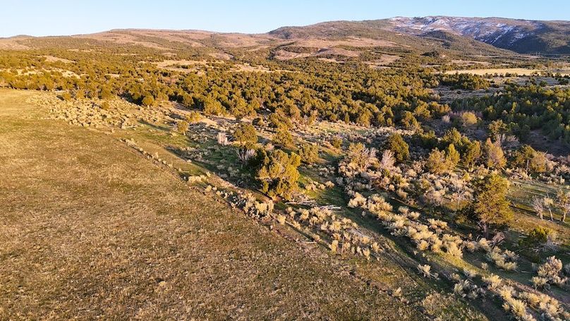 DJI_20250409193619_0104_D