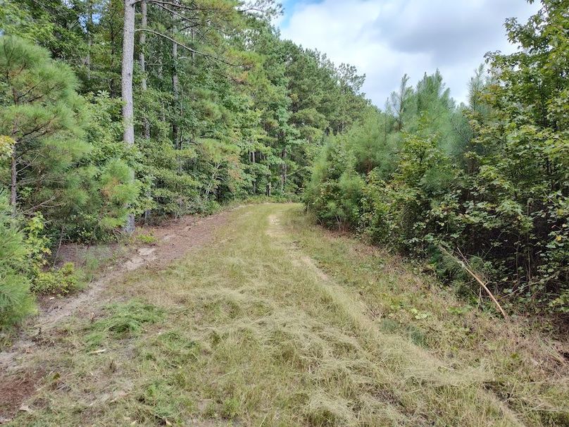 IMG_20240831_153401832_HDR