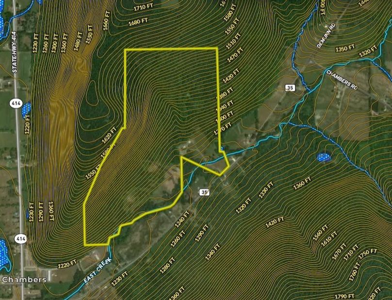 Topo Water and Wetland