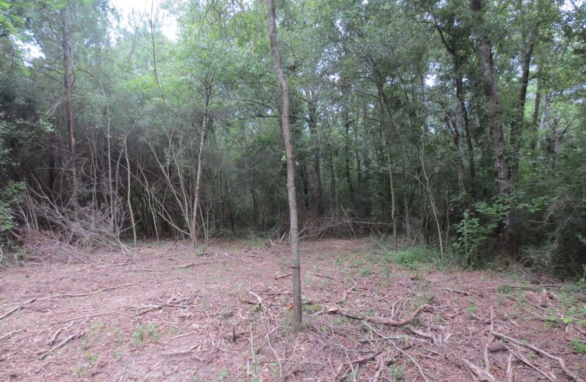 7BF12C71-6CCA-4406-8DA0-EB22C67BB80F_1_105_c