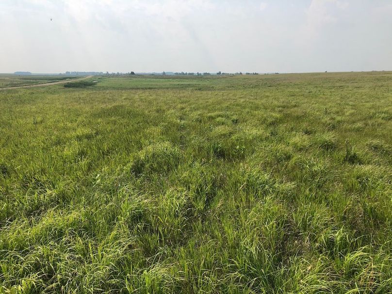 24. Looking W along Southern Boundary