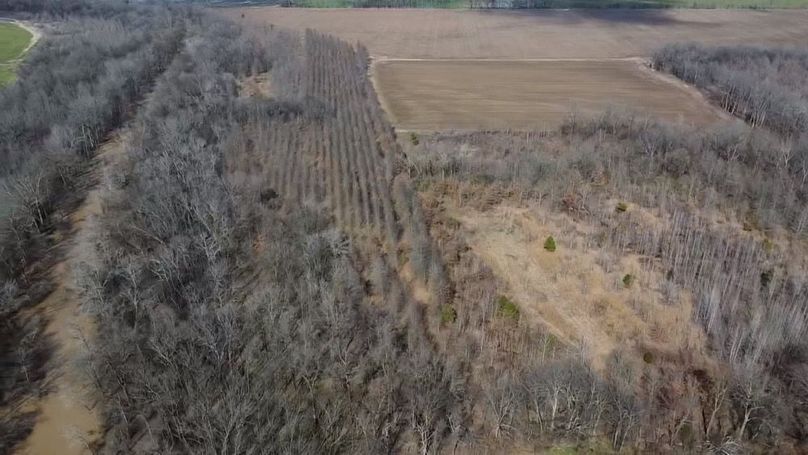 2025-02-13-13-11-13-493