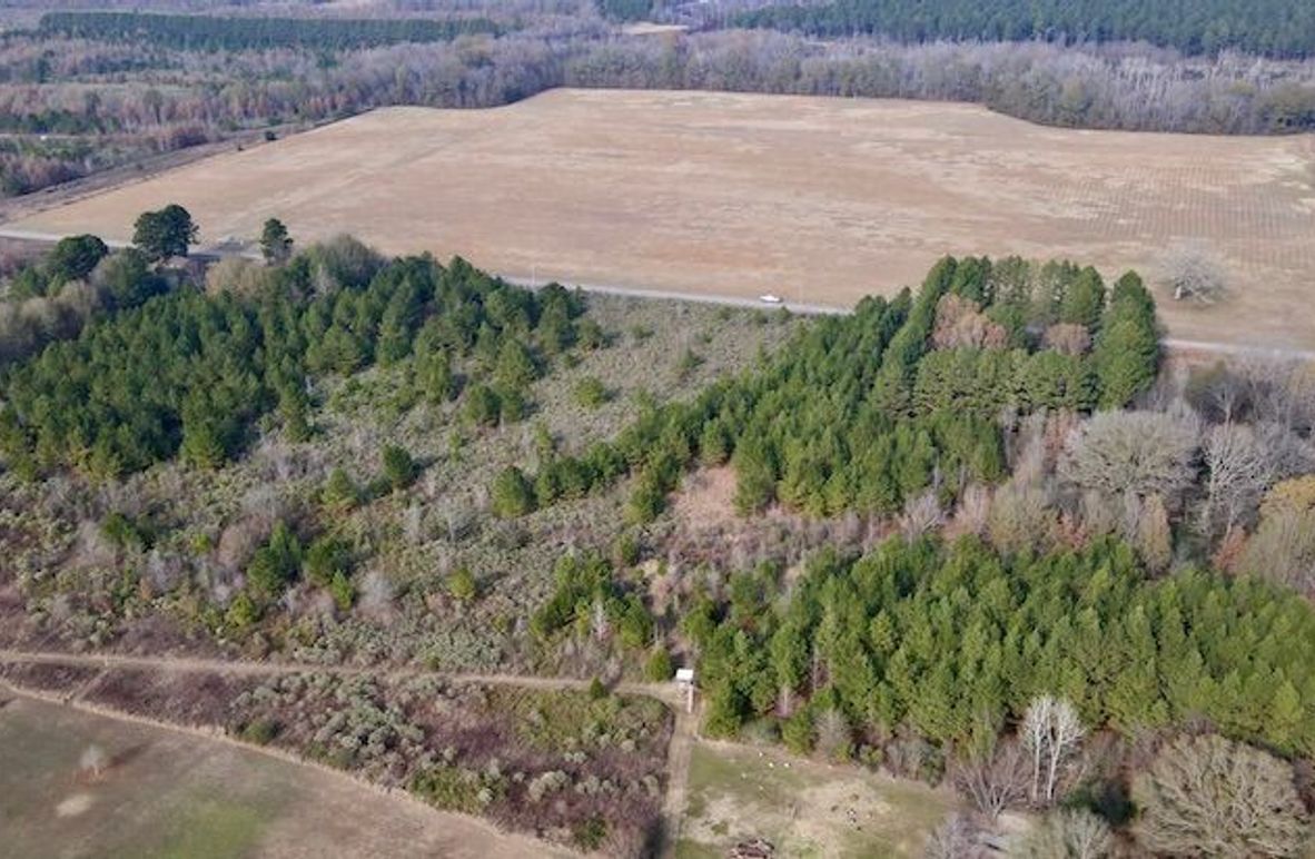 dji_fly_20251205_124814_919_1765034347231_photo