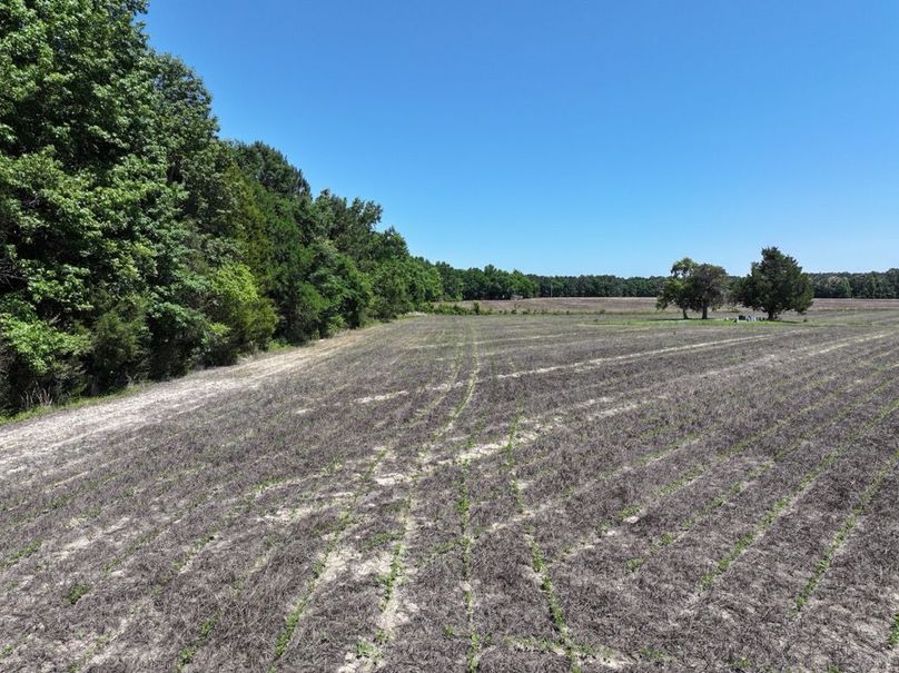 Copy of DJI_20260602143158_0085_D