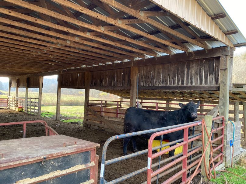 045 feed barn #1 seen from the inside copy