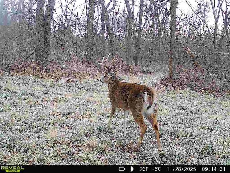 860322064036699-1-4-11282025091430-W1004118