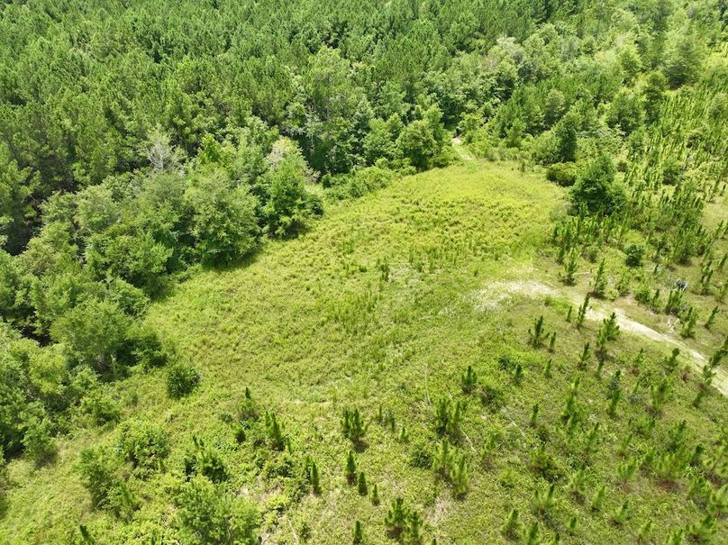 dji_fly_20240710_135628_557_1720634571018_photo