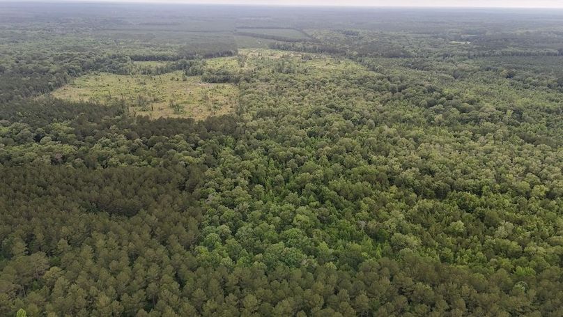 Copy of DJI_20250529231047_0545_D