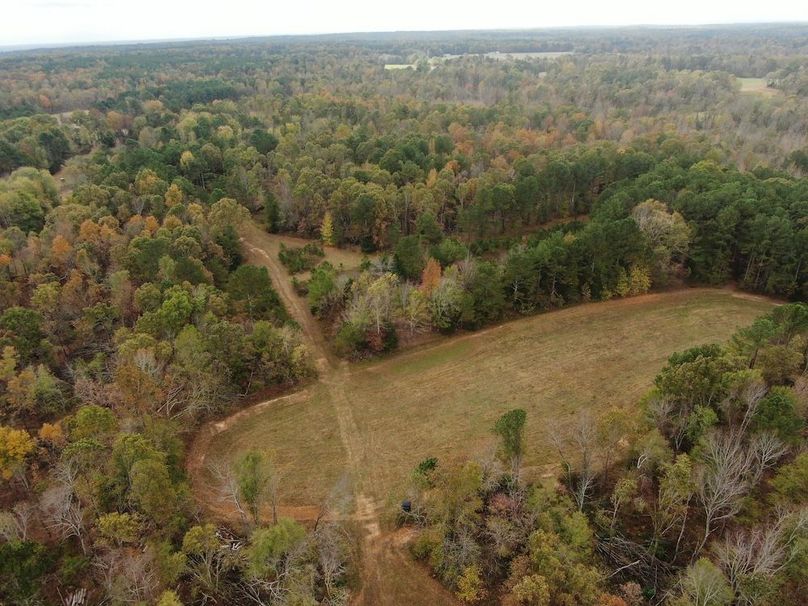 Food Plot