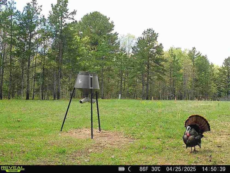 868032069664856-100-4-04252025145038-W1006740