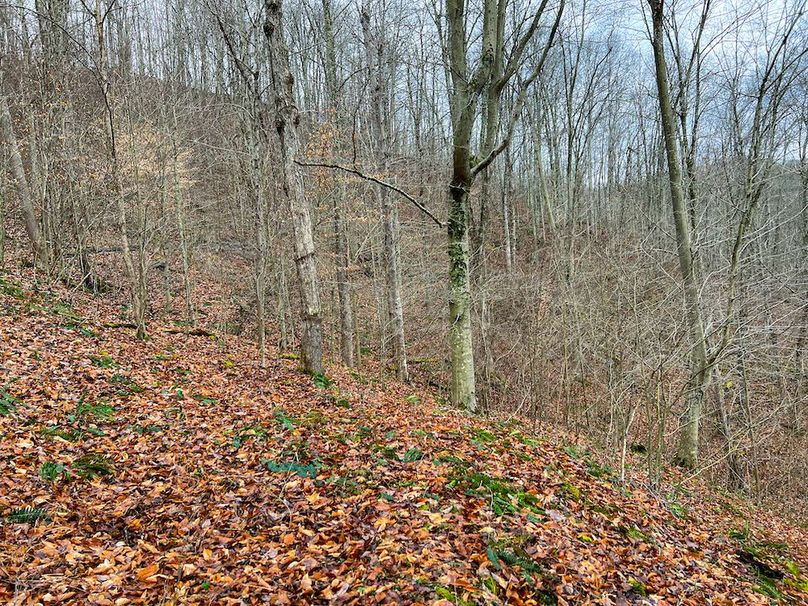Calhoun, WV 225.69 AC Duffield-41