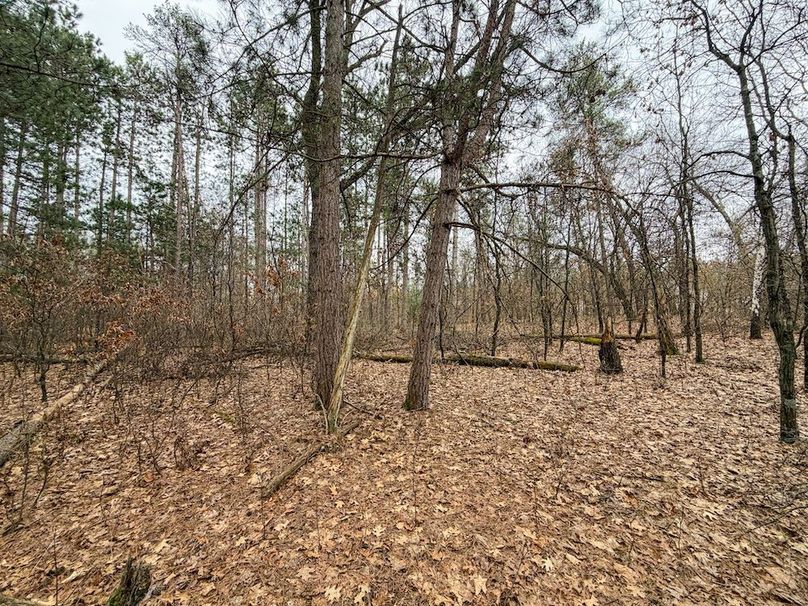 Juneau 1.53 Northgate-13