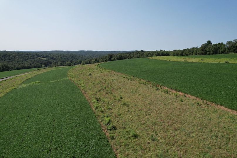 Copy of dji_fly_20250808_110058_149_1754665480538_photo