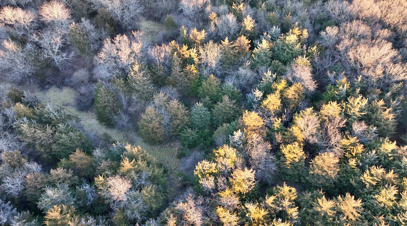 Screenshot 2026-01-06 at 8.13.57 PM