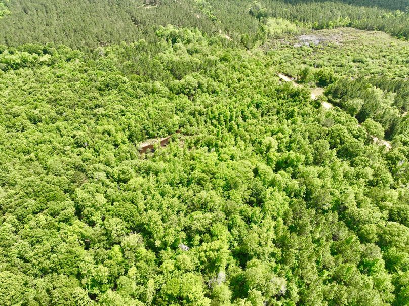 dji_fly_20230426_150708_317_1682536362872_photo