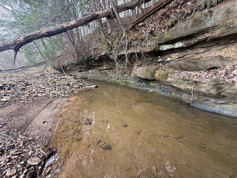 025 another view of the cool rock cliff face along the creek