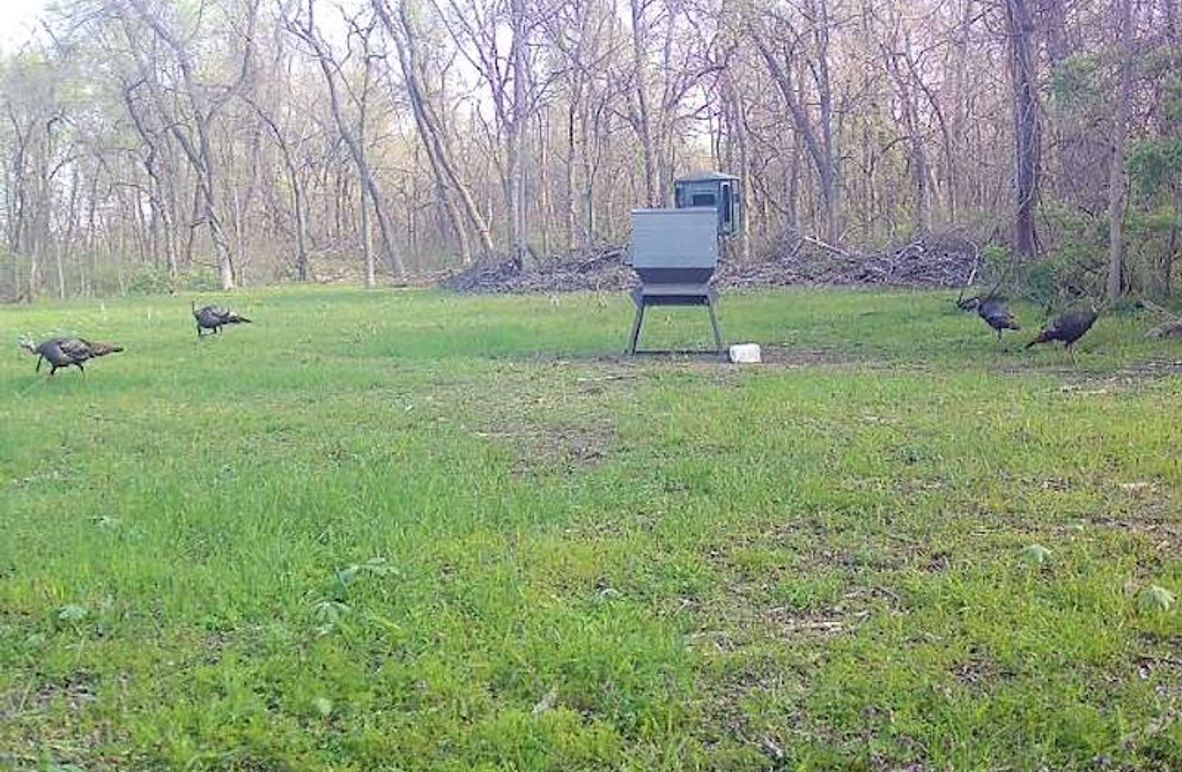 868032066783220-100-4-04092025085318-W1002813