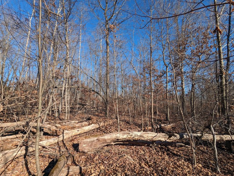 PXL_20231215_163456139