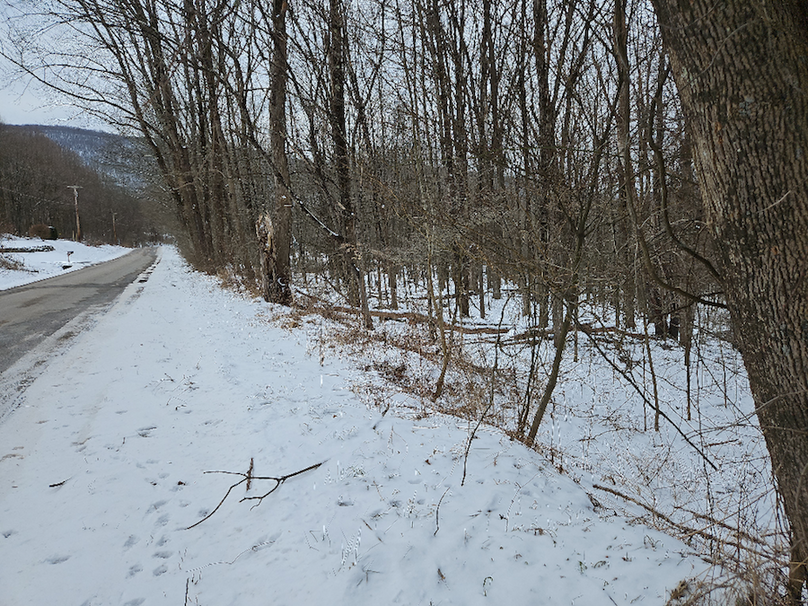 photo_03b20c1b-3cff-4d07-a48a-e2894a7365cd