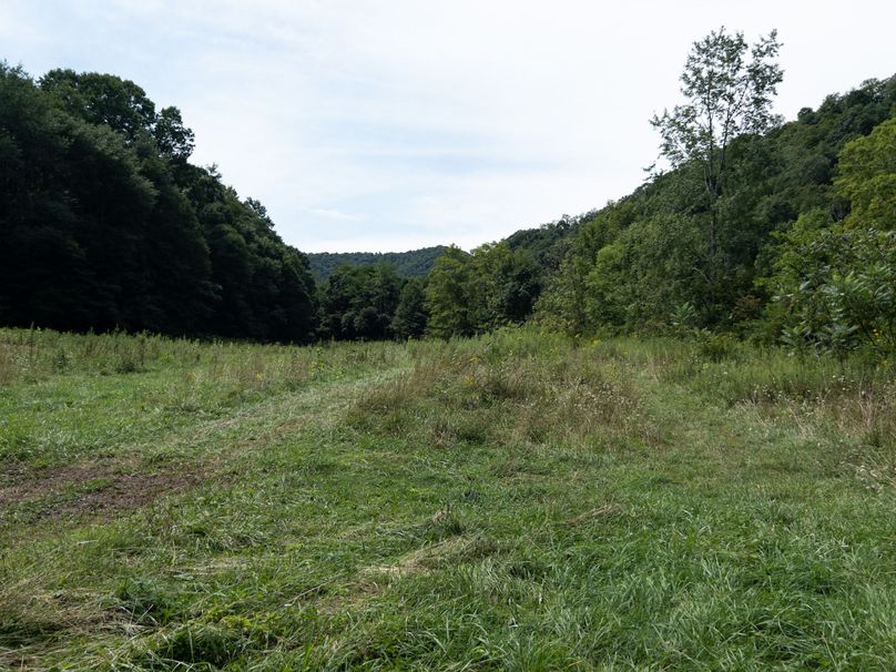 20_36.85_Pocahontas_WV