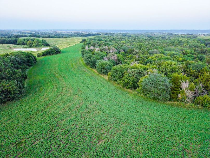DJI_20250723203421_0454_D
