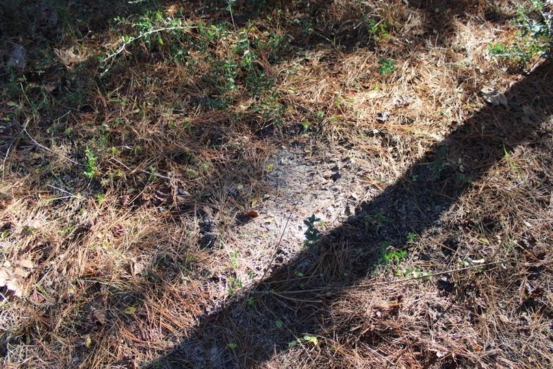 CAD0F967-4470-4DA1-8336-3C33D3D364BE_1_105_c-2