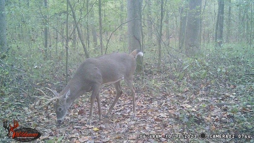 trail cam38