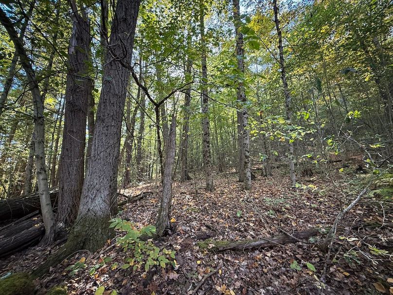 Tompkins NY 87 Allen Photos 39