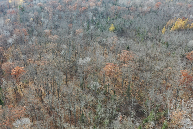 Screenshot 2024-10-28 at 3.05.16 PM