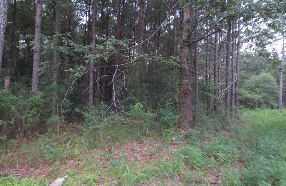 8E1C3104-FB7E-4354-9A78-1280CFFA96BF_1_105_c